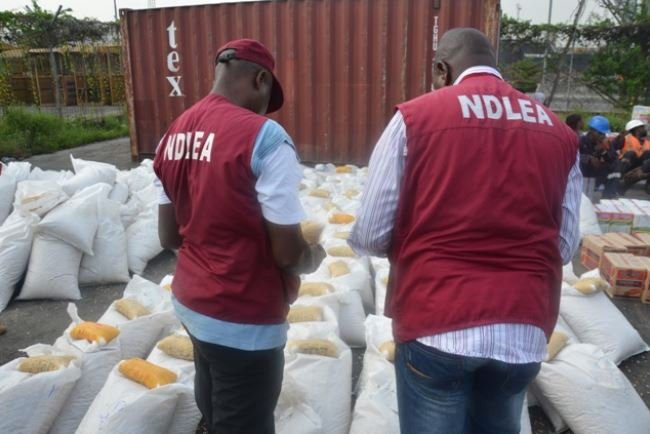 NDLEA arrests 417 suspects, secures 54 convictions in Oyo