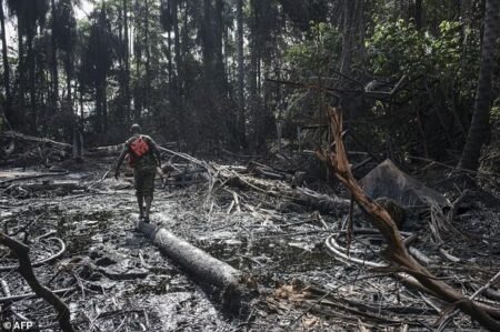 JTF uncovers 50 illegal refineries in Bayelsa