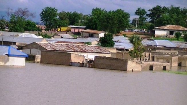 Jigawa Rainstorm has destroyed no fewer than 1000 houses in Kano