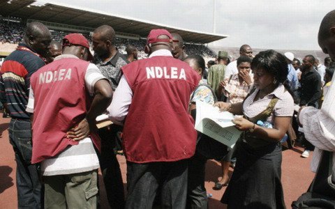NDLEA nabs 25 drug suspects in Abuja IDP camp, others