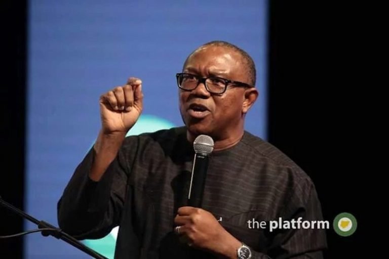 PDP vice presidential candidate, Peter Obi