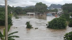 Death toll in Niger flood disaster hits 110