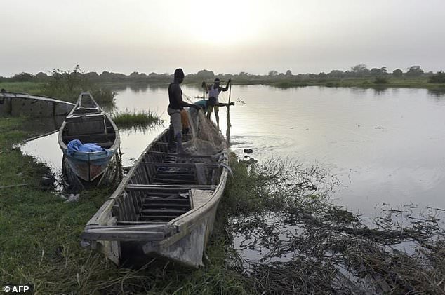 CBN’s cashless policy, fuel scarcity cripples fishermen's vocation