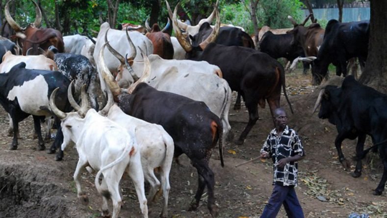 Abia farmers fear herdsmen in the State