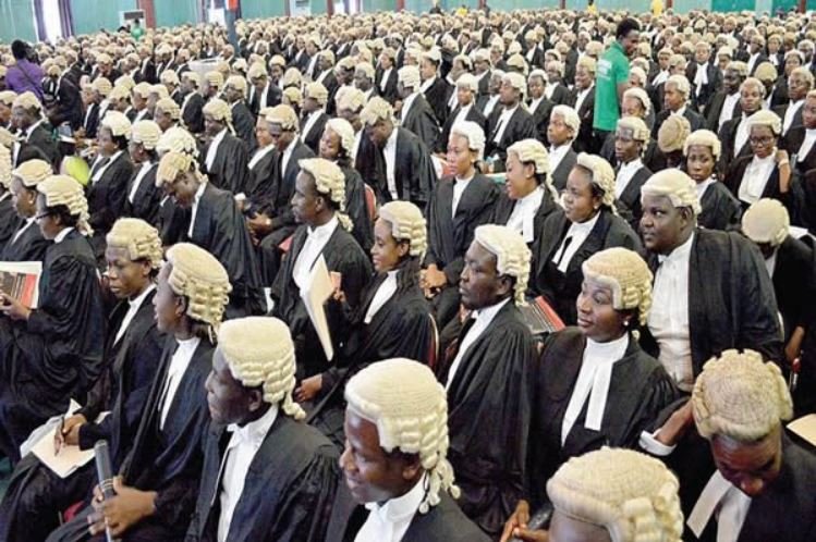 29 students graduated with First Class from Nigerian Law in 2017 Law students