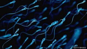 Columbia scientists use AI to overcome male infertility in record time