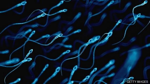 Researchers say low sperm count can cause other illness like body fat, higher blood pressure and more "bad" cholesterol