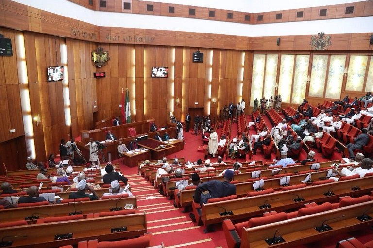 Nigerian Senate has proposed to review the 1999 constitution Lauretta Onochie