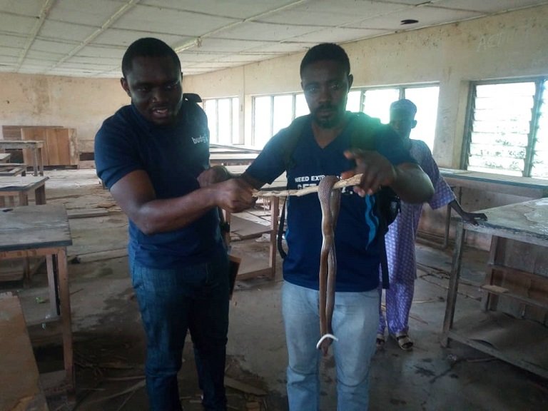 Orile-Owu High School in Ayedaade LGA has been overtaken by snakes