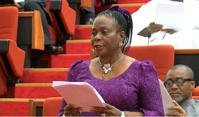 Senate Minority Leader, Biodun Olujimi of PDP has lost her reelection bid