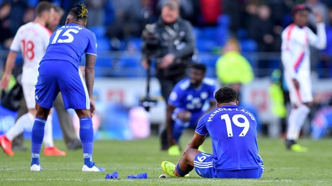 Cardiff City relegated after losing at home to Crystal Palace