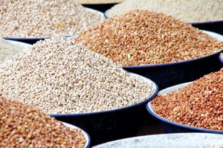 Nigeria could generate N48 billion yearly from new cowpea variety