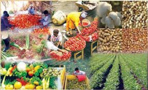 WFP pledges $2.5bn to combat hunger in Nigeria