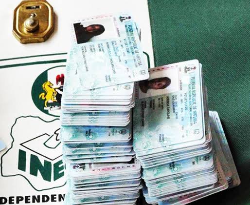 Nigeria Local hunters found thousands of uncollected PVCs in Anambra forest