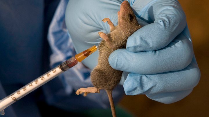 Lagos has confirmed first case of Lassa fever