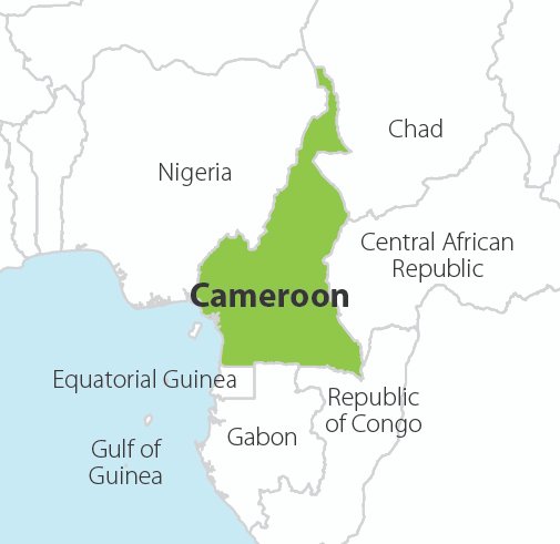 At Least 23 Dead In Cameroon Landslide