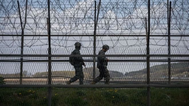 The demilitarised zone (DMZ) was set up after the Korean War in 1953 south korea north korea