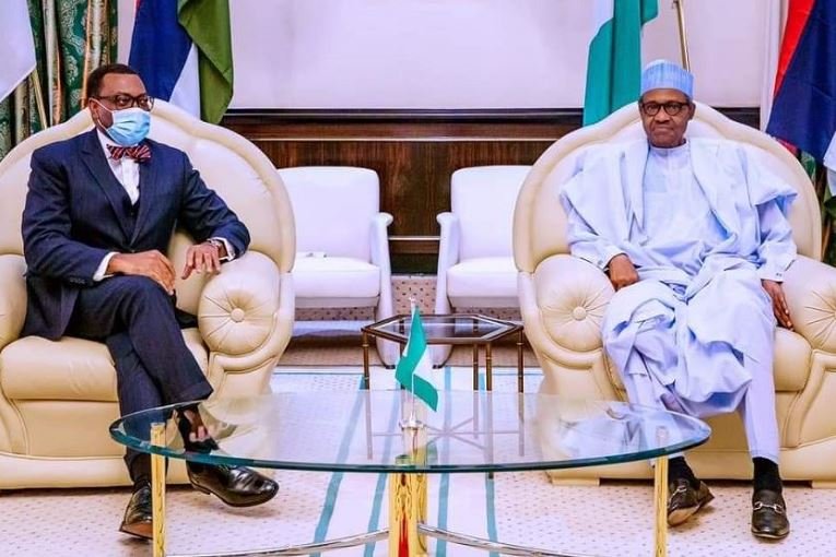 President Muhammadu Buhari backed Akinwumi Adesina on probe allegations