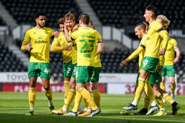 Norwich promoted to premier league