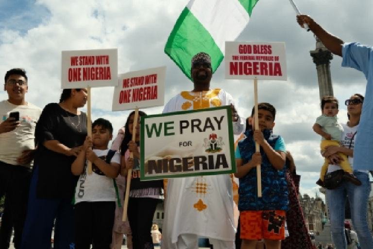 Nigerians in diaspora rally support for one Nigeria