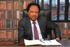 Enjoy your adopted home, Shehu Sani slams Kemi Badenoch over Nigerian citizenship comment