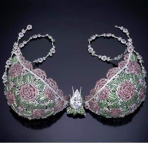 Diezani's Heavenly Star Bra is estimated to be worth over $10 million