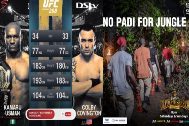 UFC and Gulder Ultimate Search on DSTV