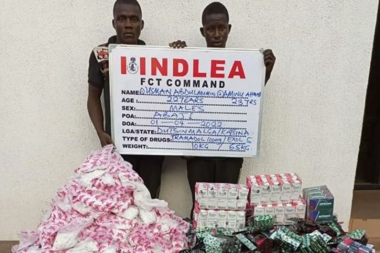 NDLEA arrests for possession