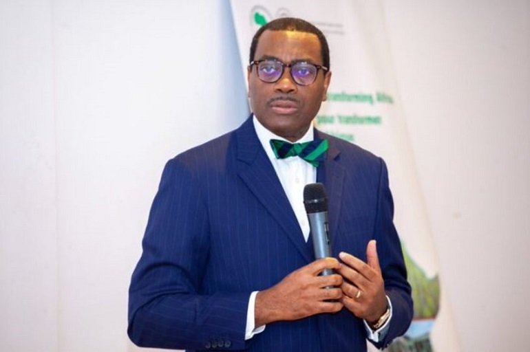 Adesina seeks institutional support systems for Africa at UNGA