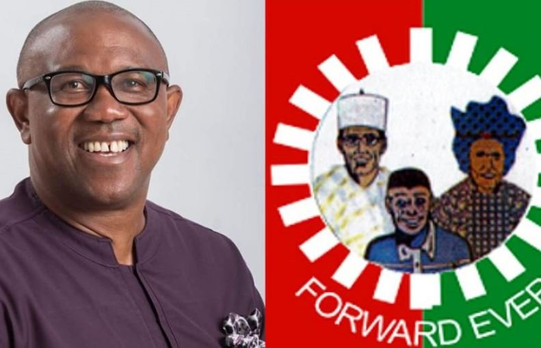 Peter Obi is the Labour Party presidential candidate