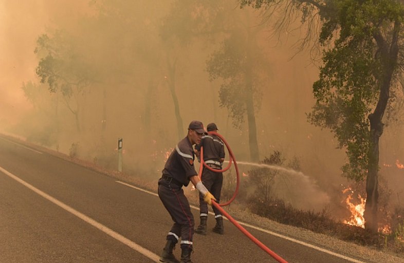 morocco forest fire