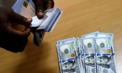 The naira continued its free fall, sinking to a record low of N1,482.57 per dollar