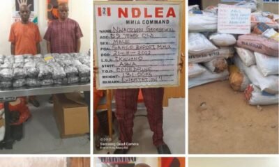 NDLEA arrests many people in possession of skunk and cannabis across five states in Nigeria