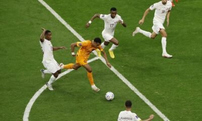 Netherlands' Cody Gakpo scores their first goal
