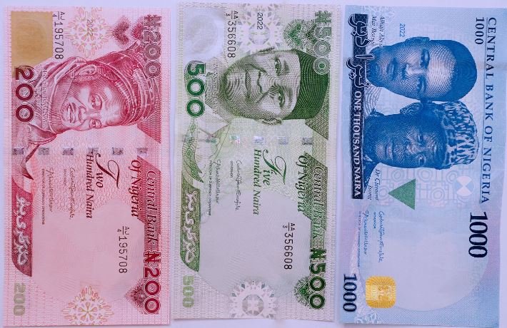 New naira notes unveiled