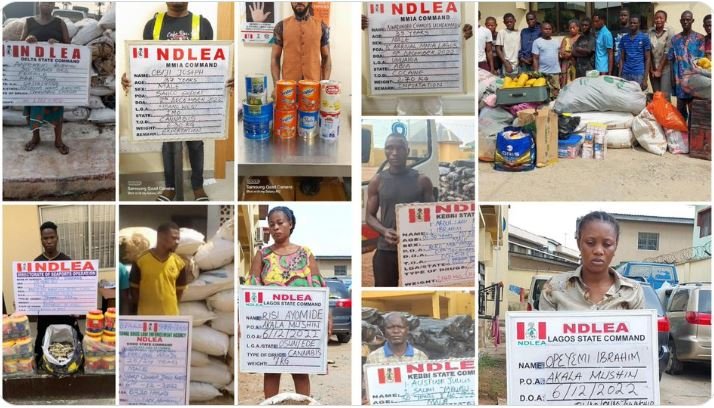 NDLEA parades culprits arrested with banned drugs