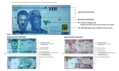 Security features of new naira notes released, fake notes emerge - CBN