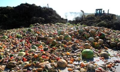 AEPB seals up Garki Int’l Market over refuse dumps