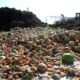 AEPB seals up Garki Int’l Market over refuse dumps