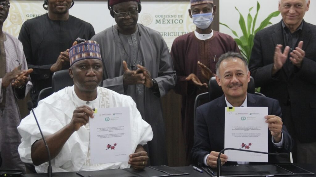 Nigeria Mexico sign plant export deal