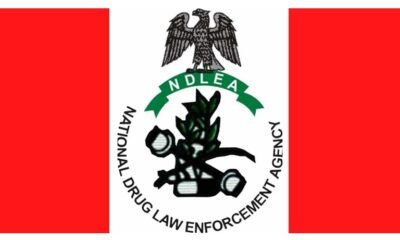 NDLEA boss charged officers to intensify their efforts