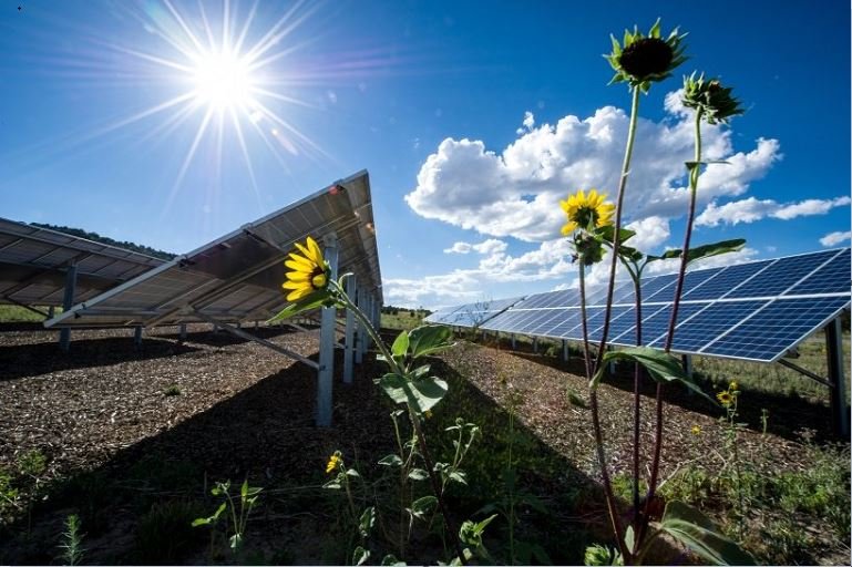 UAE announces $4.5 billion clean energy investment in Africa