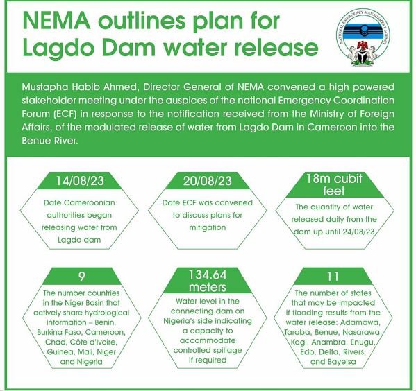 NEMA's plan on Lagdo Dam water release