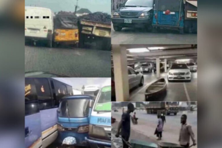 2024 slang, ‘No gree for anybody, no fold’