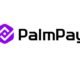 PalmPay, Africa-focused fintech platform