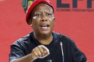 UK denies Julius Malema visa over extremist views