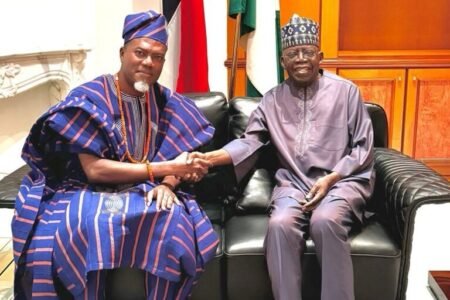 Remo Omokri, Shehu Sani, others screened for ambassadorial appointments