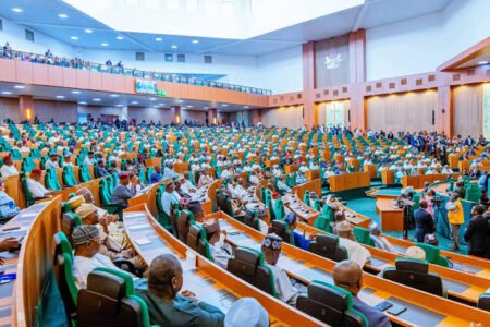 Bill to upgrade Lagos' 37 LCDAs to LGs passes to second reading