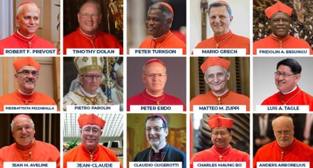 Pope: Two African Cardinals, 13 Other Potential Successors To Francis