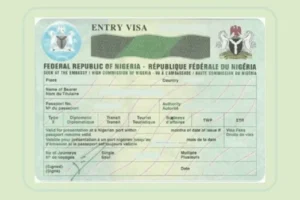 Tinubu didn’t stop five-year visa for US citizens, says presidency